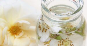 The Importance and Benefits of Skin Care with Rose Water