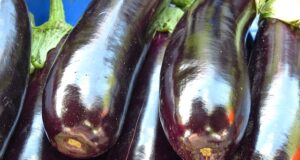How Many Calories in Eggplant – Eggplant Nutrition Facts