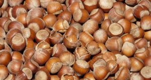 How Many Calories in Hazelnut – Nutrition Facts of Hazelnut
