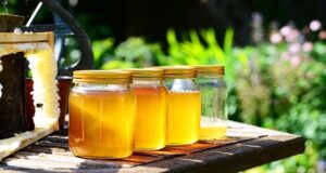 How Many Calories in Honey – Nutritional Value of Honey