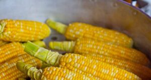 How Many Calories in Boiled Corn