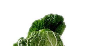 How Many Calories in Chinese Lettuce – Chinese Lettuce Nutrition Facts